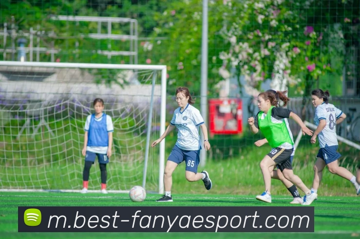 数据防护可视化